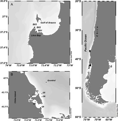 Effect of Three Pesticides Used in Salmon Farming on Ammonium Uptake in Central-Southern and Northern Patagonia, Chile